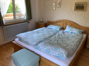 Ferienhaus Lickert Ferienwohnung Süd Feldberg
